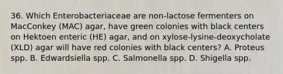 36. Which Enterobacteriaceae are non-lactose fermenters on MacConkey (MAC) agar, have green colonies with black centers on Hektoen enteric (HE) agar, and on xylose-lysine-deoxycholate (XLD) agar will have red colonies with black centers? A. Proteus spp. B. Edwardsiella spp. C. Salmonella spp. D. Shigella spp.