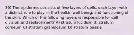 36) The epidermis consists of five layers of cells, each layer with a distinct role to play in the health, well-being, and functioning of the skin. Which of the following layers is responsible for cell division and replacement? A) stratum lucidum B) stratum corneum C) stratum granulosum D) stratum basale