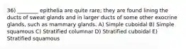 36) ________ epithelia are quite rare; they are found lining the ducts of sweat glands and in larger ducts of some other exocrine glands, such as mammary glands. A) Simple cuboidal B) Simple squamous C) Stratified columnar D) Stratified cuboidal E) Stratified squamous