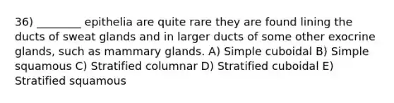 36) ________ epithelia are quite rare they are found lining the ducts of sweat glands and in larger ducts of some other exocrine glands, such as mammary glands. A) Simple cuboidal B) Simple squamous C) Stratified columnar D) Stratified cuboidal E) Stratified squamous