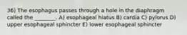 36) The esophagus passes through a hole in the diaphragm called the ________. A) esophageal hiatus B) cardia C) pylorus D) upper esophageal sphincter E) lower esophageal sphincter