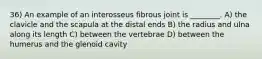 36) An example of an interosseus fibrous joint is ________. A) the clavicle and the scapula at the distal ends B) the radius and ulna along its length C) between the vertebrae D) between the humerus and the glenoid cavity