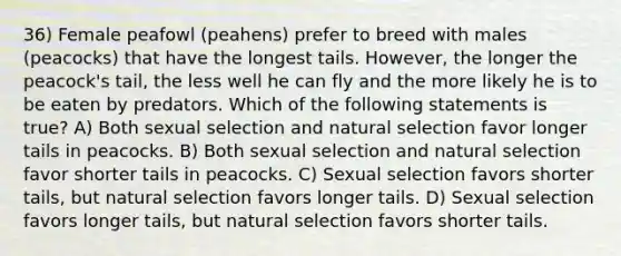 36) Female peafowl (peahens) prefer to breed with males (peacocks) that have the longest tails. However, the longer the peacock's tail, the less well he can fly and the more likely he is to be eaten by predators. Which of the following statements is true? A) Both sexual selection and natural selection favor longer tails in peacocks. B) Both sexual selection and natural selection favor shorter tails in peacocks. C) Sexual selection favors shorter tails, but natural selection favors longer tails. D) Sexual selection favors longer tails, but natural selection favors shorter tails.