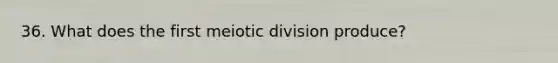 36. What does the first meiotic division produce?