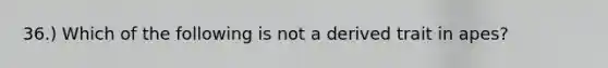 36.) Which of the following is not a derived trait in apes?