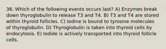 36. Which of the following events occurs last? A) Enzymes break down thyroglobulin to release T3 and T4. B) T3 and T4 are stored within thyroid follicles. C) Iodine is bound to tyrosine molecules of thyroglobulin. D) Thyroglobulin is taken into thyroid cells by endocytosis. E) Iodide is actively transported into thyroid follicle cells.