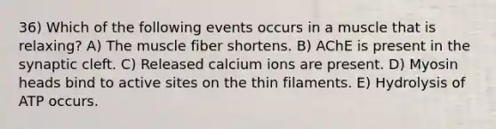 36) Which of the following events occurs in a muscle that is relaxing? A) The muscle fiber shortens. B) AChE is present in the synaptic cleft. C) Released calcium ions are present. D) Myosin heads bind to active sites on the thin filaments. E) Hydrolysis of ATP occurs.