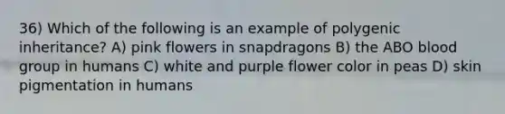 36) Which of the following is an example of polygenic inheritance? A) pink flowers in snapdragons B) the ABO blood group in humans C) white and purple flower color in peas D) skin pigmentation in humans