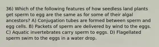 36) Which of the following features of how seedless land plants get sperm to egg are the same as for some of their algal ancestors? A) Conjugation tubes are formed between sperm and egg cells. B) Packets of sperm are delivered by wind to the eggs. C) Aquatic invertebrates carry sperm to eggs. D) Flagellated sperm swim to the eggs in a water drop.