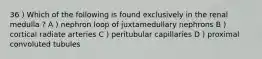 36 ) Which of the following is found exclusively in the renal medulla ? A ) nephron loop of juxtamedullary nephrons B ) cortical radiate arteries C ) peritubular capillaries D ) proximal convoluted tubules