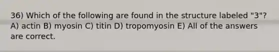 36) Which of the following are found in the structure labeled "3"? A) actin B) myosin C) titin D) tropomyosin E) All of the answers are correct.