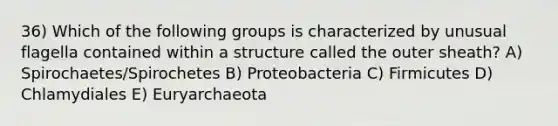 36) Which of the following groups is characterized by unusual flagella contained within a structure called the outer sheath? A) Spirochaetes/Spirochetes B) Proteobacteria C) Firmicutes D) Chlamydiales E) Euryarchaeota