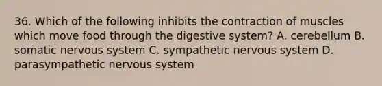 36. Which of the following inhibits the contraction of muscles which move food through the digestive system? A. cerebellum B. somatic nervous system C. sympathetic nervous system D. parasympathetic nervous system