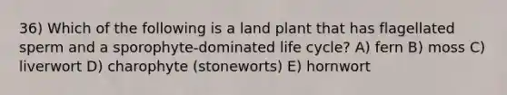 36) Which of the following is a land plant that has flagellated sperm and a sporophyte-dominated life cycle? A) fern B) moss C) liverwort D) charophyte (stoneworts) E) hornwort