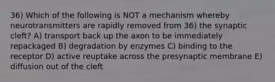 36) Which of the following is NOT a mechanism whereby neurotransmitters are rapidly removed from 36) the synaptic cleft? A) transport back up the axon to be immediately repackaged B) degradation by enzymes C) binding to the receptor D) active reuptake across the presynaptic membrane E) diffusion out of the cleft