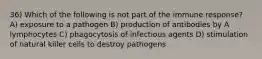 36) Which of the following is not part of the immune response? A) exposure to a pathogen B) production of antibodies by A lymphocytes C) phagocytosis of infectious agents D) stimulation of natural killer cells to destroy pathogens