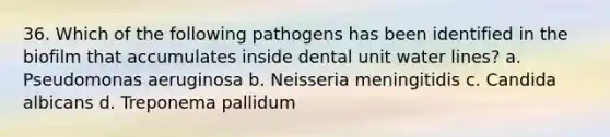 36. Which of the following pathogens has been identified in the biofilm that accumulates inside dental unit water lines? a. Pseudomonas aeruginosa b. Neisseria meningitidis c. Candida albicans d. Treponema pallidum