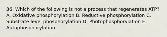 36. Which of the following is not a process that regenerates ATP? A. Oxidative phosphorylation B. Reductive phosphorylation C. Substrate level phosphorylation D. Photophosphorylation E. Autophosphorylation