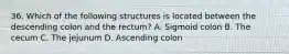 36. Which of the following structures is located between the descending colon and the rectum? A. Sigmoid colon B. The cecum C. The jejunum D. Ascending colon