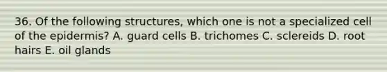 36. Of the following structures, which one is not a specialized cell of the epidermis? A. guard cells B. trichomes C. sclereids D. root hairs E. oil glands