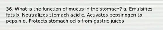 36. What is the function of mucus in the stomach? a. Emulsifies fats b. Neutralizes stomach acid c. Activates pepsinogen to pepsin d. Protects stomach cells from gastric juices