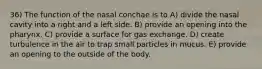 36) The function of the nasal conchae is to A) divide the nasal cavity into a right and a left side. B) provide an opening into the pharynx. C) provide a surface for gas exchange. D) create turbulence in the air to trap small particles in mucus. E) provide an opening to the outside of the body.