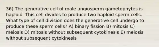 36) The generative cell of male angiosperm gametophytes is haploid. This cell divides to produce two haploid sperm cells. What type of cell division does the generative cell undergo to produce these sperm cells? A) binary fission B) mitosis C) meiosis D) mitosis without subsequent cytokinesis E) meiosis without subsequent cytokinesis