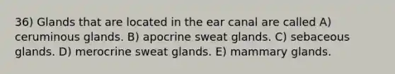 36) Glands that are located in the ear canal are called A) ceruminous glands. B) apocrine sweat glands. C) sebaceous glands. D) merocrine sweat glands. E) mammary glands.