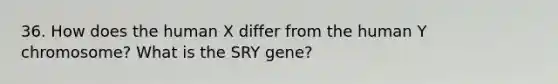 36. How does the human X differ from the human Y chromosome? What is the SRY gene?