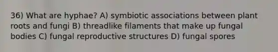 36) What are hyphae? A) symbiotic associations between plant roots and fungi B) threadlike filaments that make up fungal bodies C) fungal reproductive structures D) fungal spores