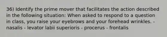 36) Identify the prime mover that facilitates the action described in the following situation: When asked to respond to a question in class, you raise your eyebrows and your forehead wrinkles. - nasalis - levator labii superioris - procerus - frontalis