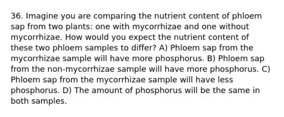 36. Imagine you are comparing the nutrient content of phloem sap from two plants: one with mycorrhizae and one without mycorrhizae. How would you expect the nutrient content of these two phloem samples to differ? A) Phloem sap from the mycorrhizae sample will have more phosphorus. B) Phloem sap from the non-mycorrhizae sample will have more phosphorus. C) Phloem sap from the mycorrhizae sample will have less phosphorus. D) The amount of phosphorus will be the same in both samples.