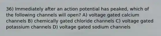 36) Immediately after an action potential has peaked, which of the following channels will open? A) voltage gated calcium channels B) chemically gated chloride channels C) voltage gated potassium channels D) voltage gated sodium channels