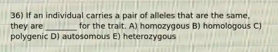 36) If an individual carries a pair of alleles that are the same, they are ________ for the trait. A) homozygous B) homologous C) polygenic D) autosomous E) heterozygous