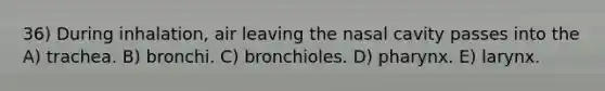 36) During inhalation, air leaving the nasal cavity passes into the A) trachea. B) bronchi. C) bronchioles. D) pharynx. E) larynx.