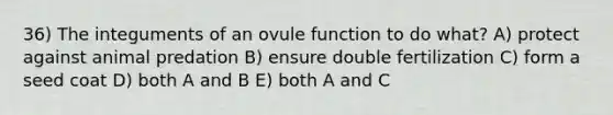 36) The integuments of an ovule function to do what? A) protect against animal predation B) ensure double fertilization C) form a seed coat D) both A and B E) both A and C