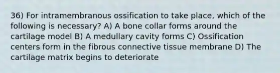 36) For intramembranous ossification to take place, which of the following is necessary? A) A bone collar forms around the cartilage model B) A medullary cavity forms C) Ossification centers form in the fibrous connective tissue membrane D) The cartilage matrix begins to deteriorate