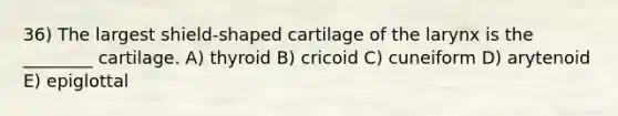 36) The largest shield-shaped cartilage of the larynx is the ________ cartilage. A) thyroid B) cricoid C) cuneiform D) arytenoid E) epiglottal