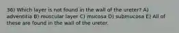 36) Which layer is not found in the wall of the ureter? A) adventitia B) muscular layer C) mucosa D) submucosa E) All of these are found in the wall of the ureter.