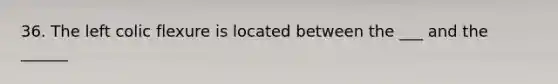 36. The left colic flexure is located between the ___ and the ______