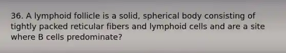 36. A lymphoid follicle is a solid, spherical body consisting of tightly packed reticular fibers and <a href='https://www.questionai.com/knowledge/kUNxwJ5MWQ-lymphoid-cells' class='anchor-knowledge'>lymphoid cells</a> and are a site where B cells predominate?