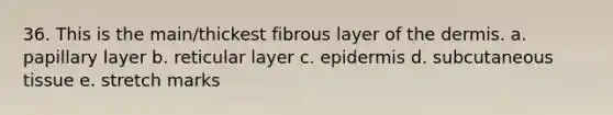 36. This is the main/thickest fibrous layer of the dermis. a. papillary layer b. reticular layer c. epidermis d. subcutaneous tissue e. stretch marks