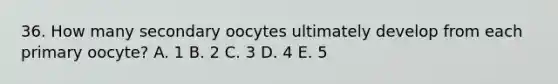 36. How many secondary oocytes ultimately develop from each primary oocyte? A. 1 B. 2 C. 3 D. 4 E. 5