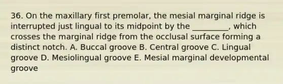 36. On the maxillary first premolar, the mesial marginal ridge is interrupted just lingual to its midpoint by the _________, which crosses the marginal ridge from the occlusal surface forming a distinct notch. A. Buccal groove B. Central groove C. Lingual groove D. Mesiolingual groove E. Mesial marginal developmental groove