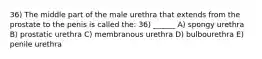 36) The middle part of the male urethra that extends from the prostate to the penis is called the: 36) ______ A) spongy urethra B) prostatic urethra C) membranous urethra D) bulbourethra E) penile urethra