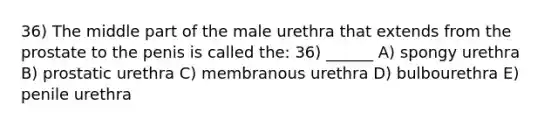 36) The middle part of the male urethra that extends from the prostate to the penis is called the: 36) ______ A) spongy urethra B) prostatic urethra C) membranous urethra D) bulbourethra E) penile urethra