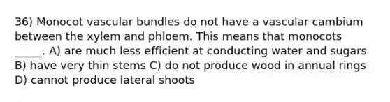 36) Monocot vascular bundles do not have a vascular cambium between the xylem and phloem. This means that monocots _____. A) are much less efficient at conducting water and sugars B) have very thin stems C) do not produce wood in annual rings D) cannot produce lateral shoots