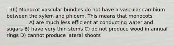 36) Monocot vascular bundles do not have a vascular cambium between the xylem and phloem. This means that monocots ________. A) are much less efficient at conducting water and sugars B) have very thin stems C) do not produce wood in annual rings D) cannot produce lateral shoots