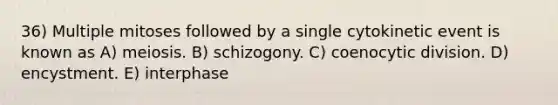 36) Multiple mitoses followed by a single cytokinetic event is known as A) meiosis. B) schizogony. C) coenocytic division. D) encystment. E) interphase