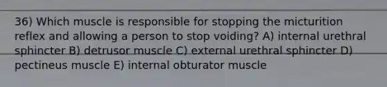 36) Which muscle is responsible for stopping the micturition reflex and allowing a person to stop voiding? A) internal urethral sphincter B) detrusor muscle C) external urethral sphincter D) pectineus muscle E) internal obturator muscle